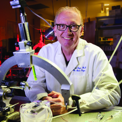 Brian R. Noga, Ph.D.