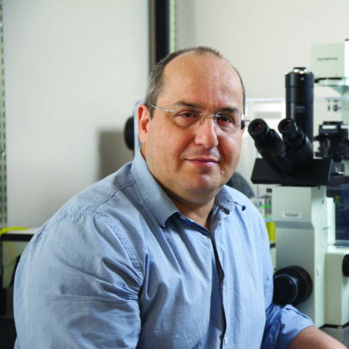 Pantelis Tsoulfas, M.D.