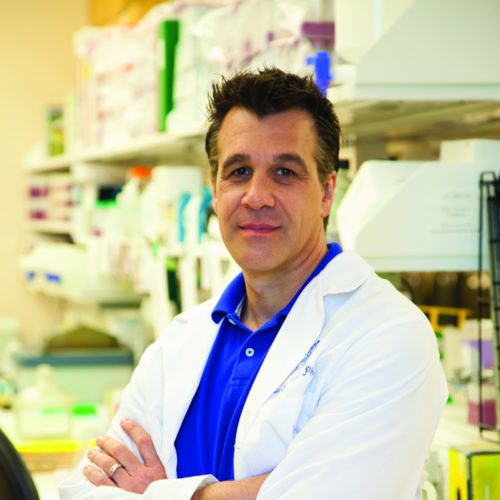 Daniel J. Liebl, Ph.D.