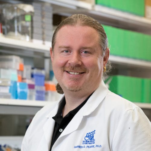 Damien D. Pearse, Ph.D.