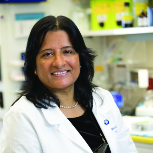 Mousumi Ghosh, Ph.D.