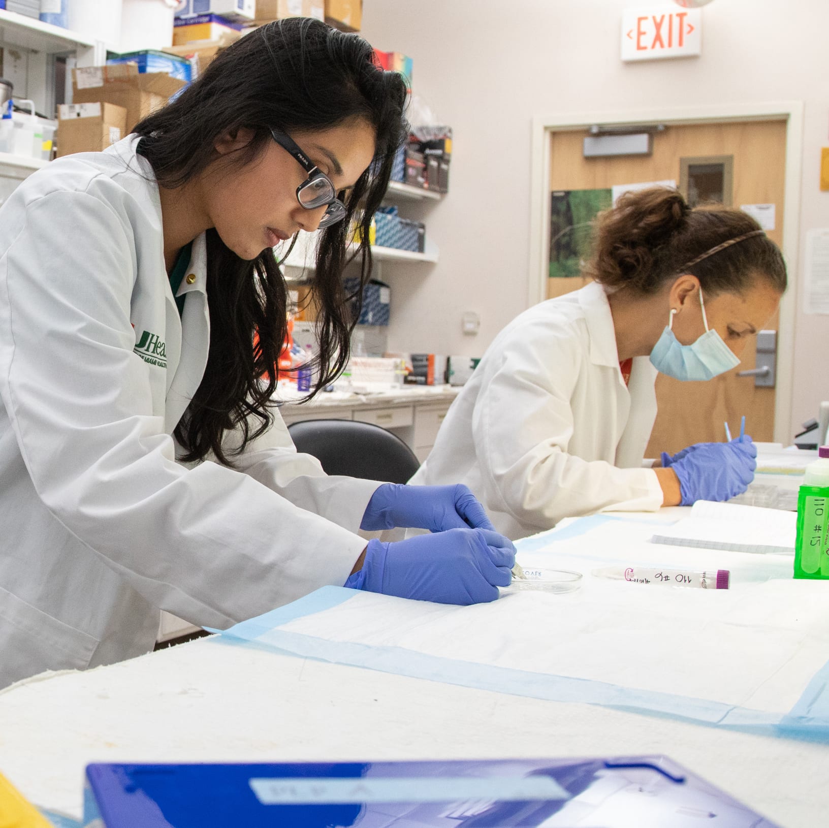 Members of The Miami Project