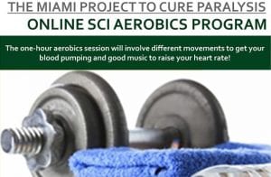 Virtual Aerobics Program